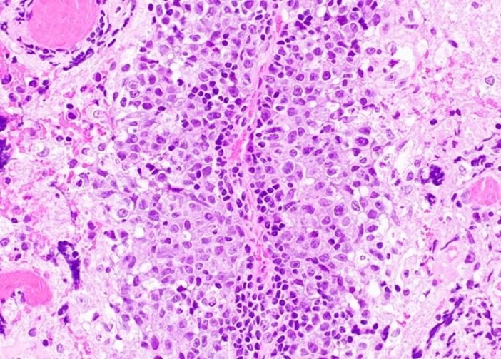 fig 8