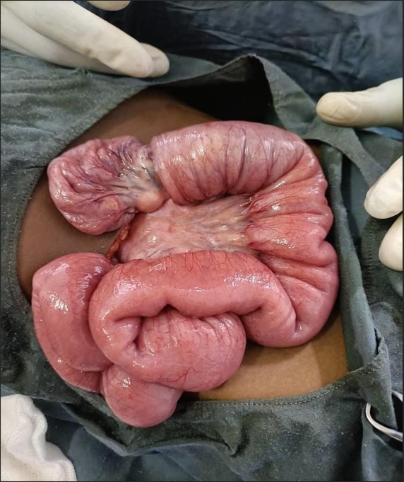 fig 1 fig 1