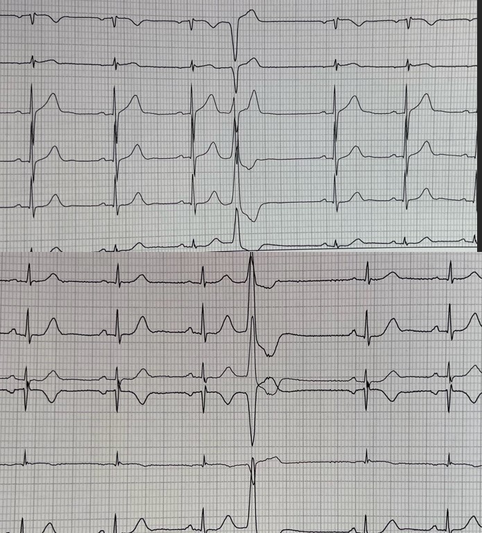 fig 4 fig 4