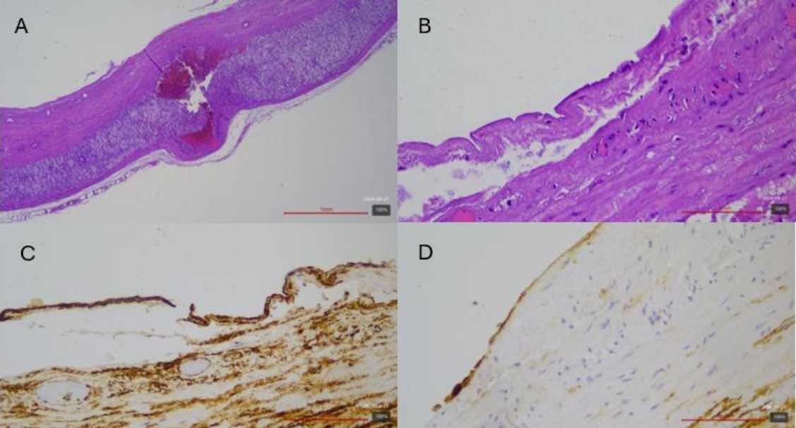 fig 2 fig 2