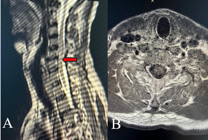 fig 2 fig 2